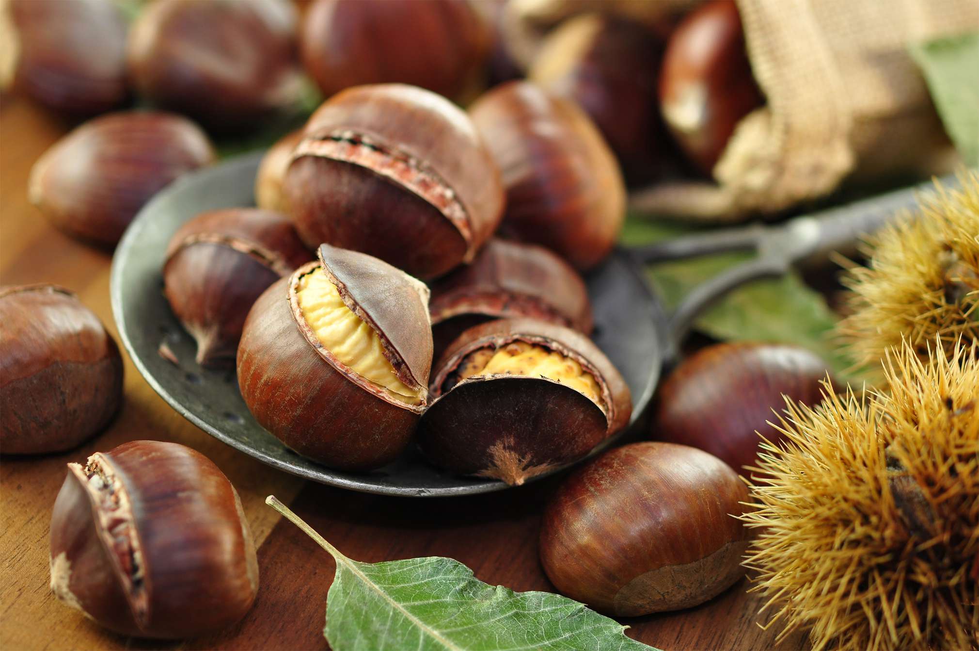 Maronen-Saison: Im Herbst ist Esskastanien-Zeit! | Kaufland