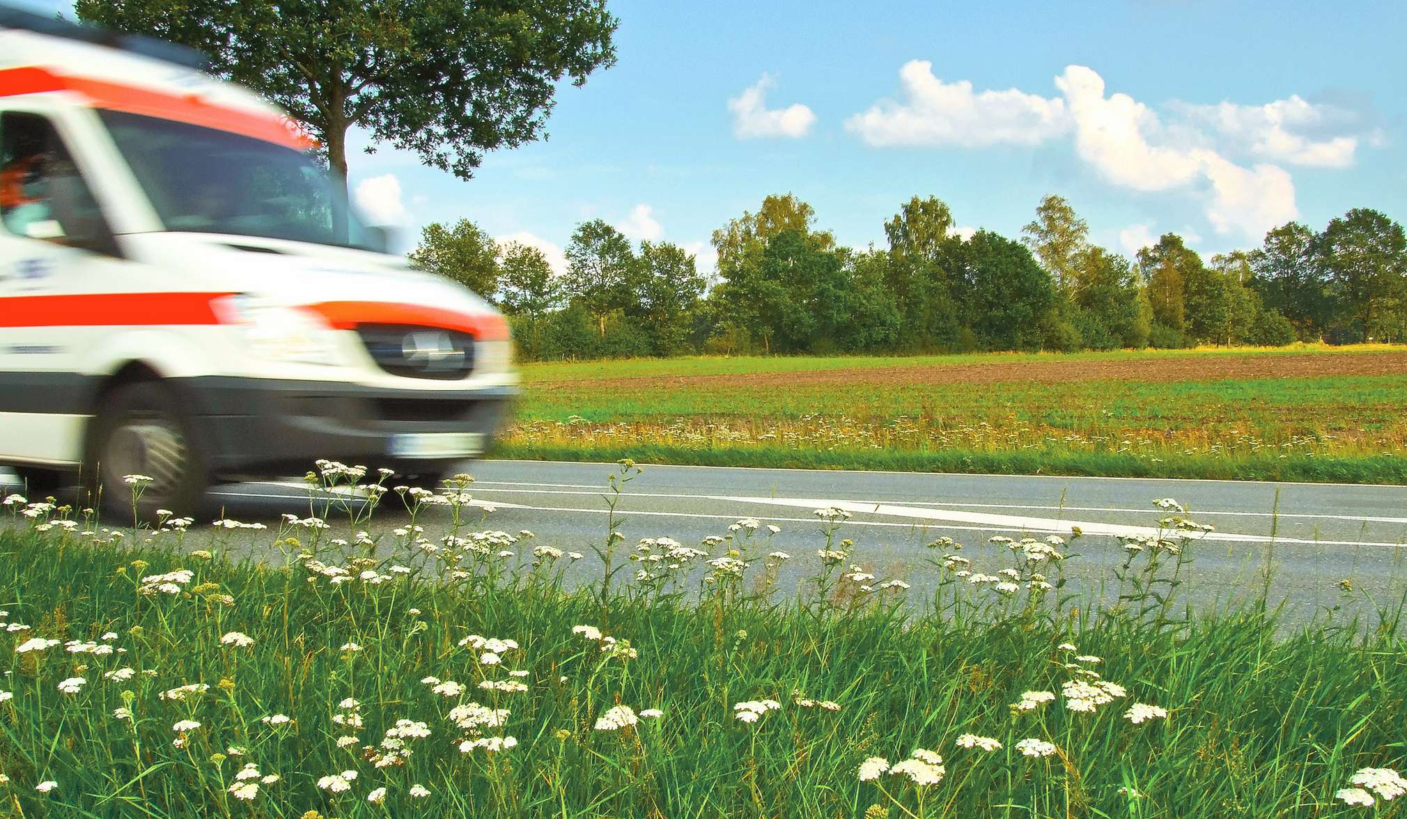 Detergenzien: Welche Inhaltsstoffe hat mein Produkt? | Kaufland
