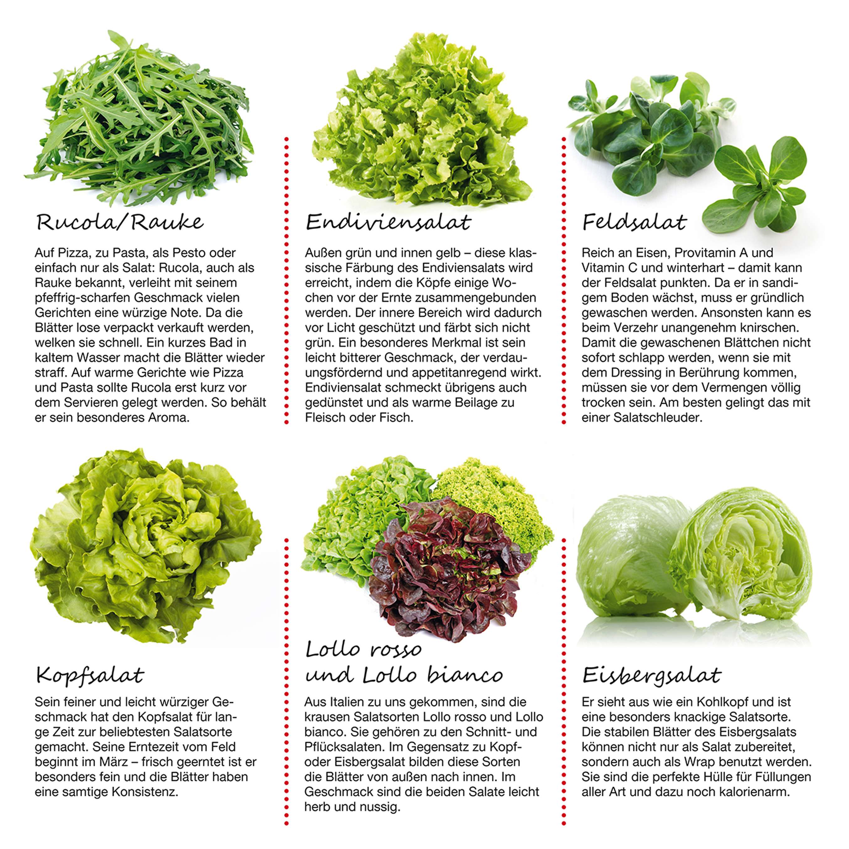 Gesund und lecker So geht Salat Kaufland