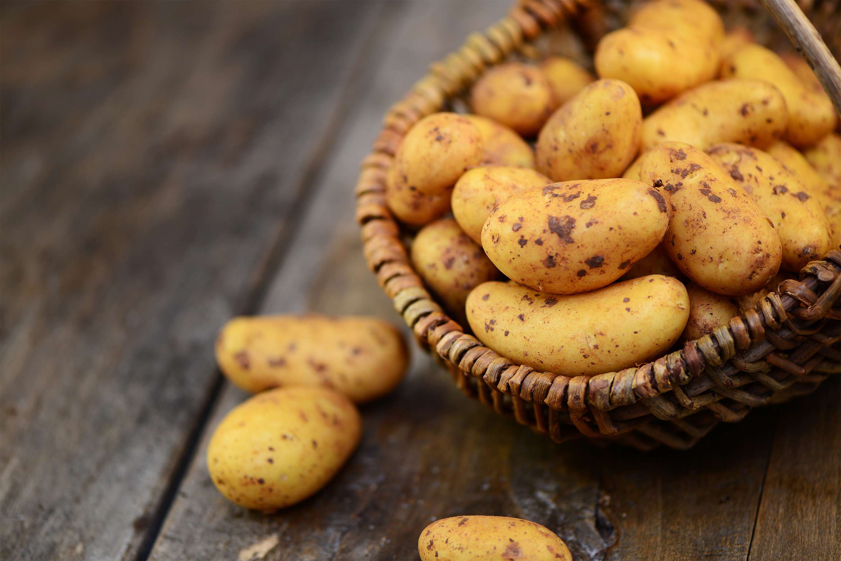 Fest- oder mehligkochende Kartoffeln: Der Eignungstest | Kaufland