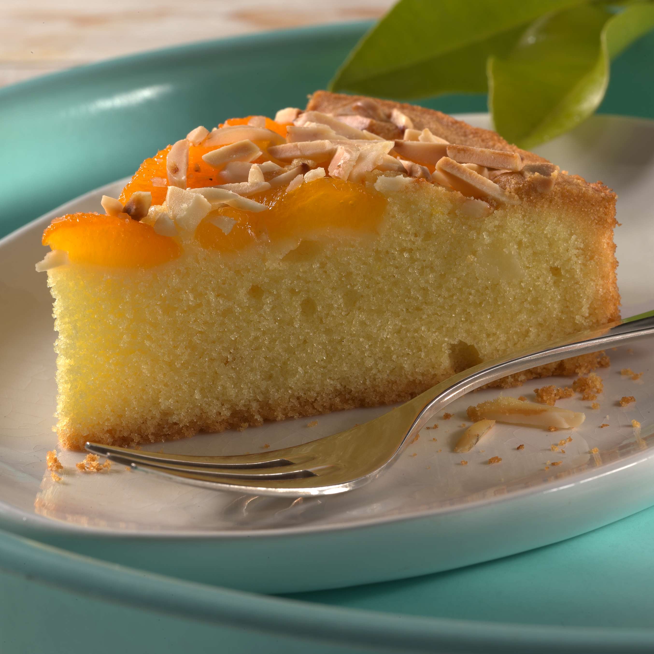 Aprikosenkuchen Rezept Kaufland