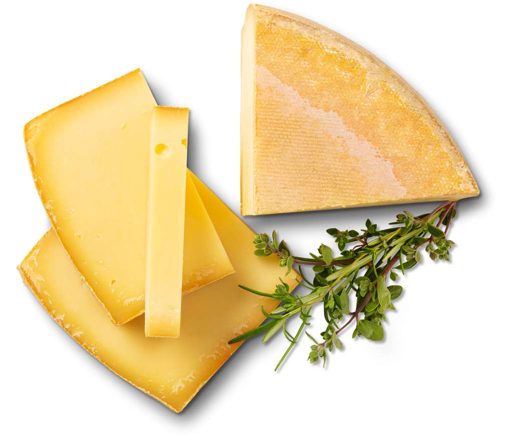 Abbildung des Sortimentsartikels Andechser Bio Bergtaler Hartkäse 45% Fett i.Tr. ca. 3,5kg