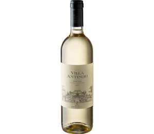Изображение на Villa Antinori Бяло вино
Bianco