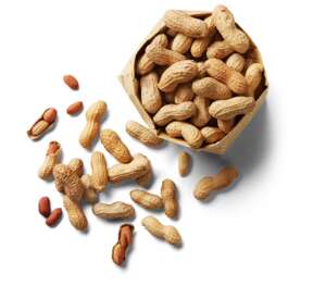 Изображение на Фъстъци с черупка печени