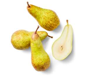 Изображение на Круши Конференс Изображение на Круши Конференс