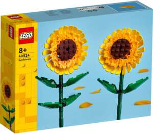 Изображение на LEGO Конструктор EL Flowers
различни видове Изображение на LEGO Конструктор EL Flowers
различни видове