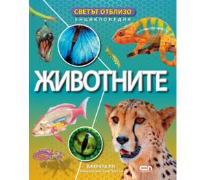 Изображение на Книга Светът отблизо