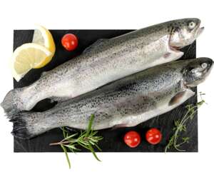 Pstruh (Oncorhynchus mykiss)
celý, chlazený, kuchaný Pstruh (Oncorhynchus mykiss)
celý, chlazený, kuchaný