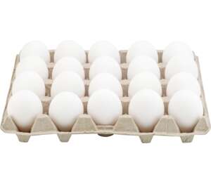 Čerstvá vejce podestýlková