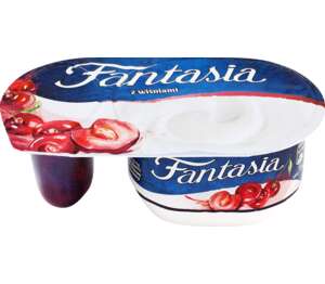 Danone Fantasia Jogurt
MPC 2.5.2025=0,99€
