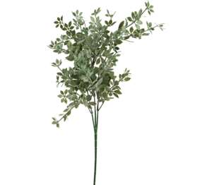 Gipsofila 62 cm 