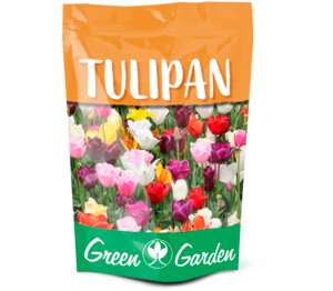 Green Garden Lukovice cvijeća Tulipan 5/1