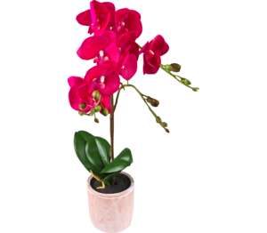 Umjetna orhideja, cca. 57 cm Umjetna orhideja, cca. 57 cm