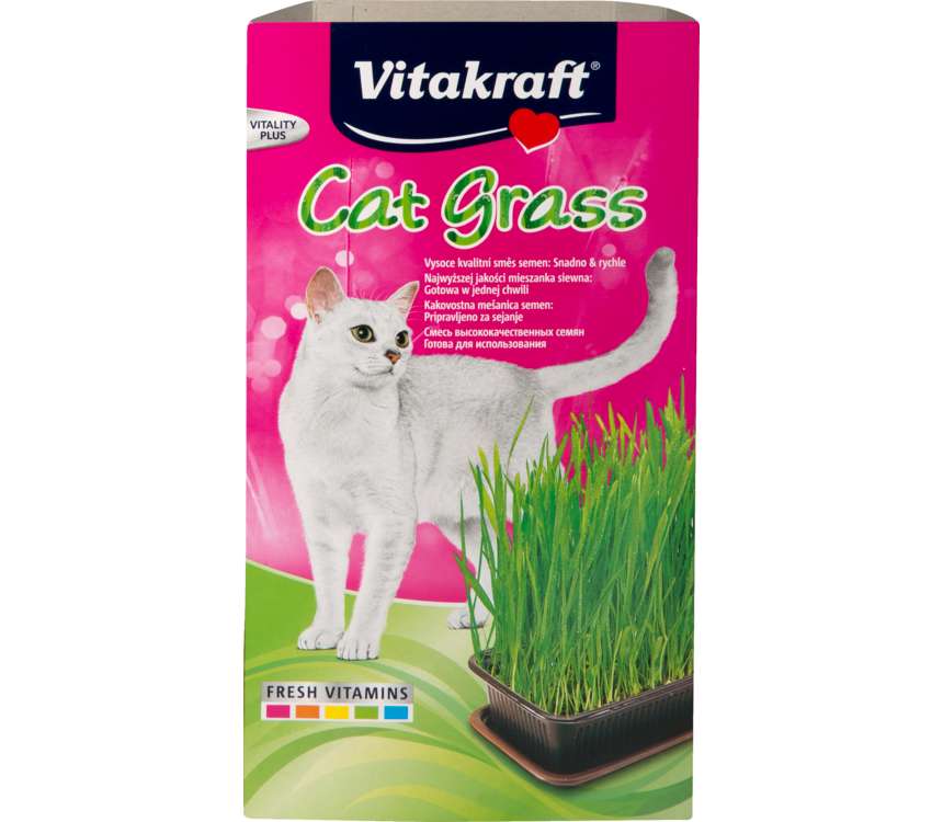 Vitakraft Trawa dla kota w pojemniku 120 g