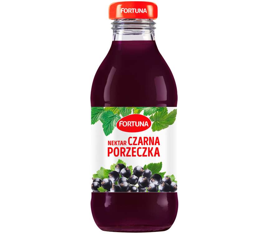 Fortuna Nektar czarna porzeczka 300ml