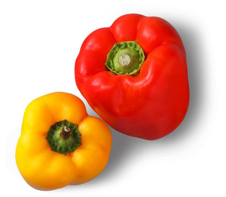 K-Bio Papryka  400 g