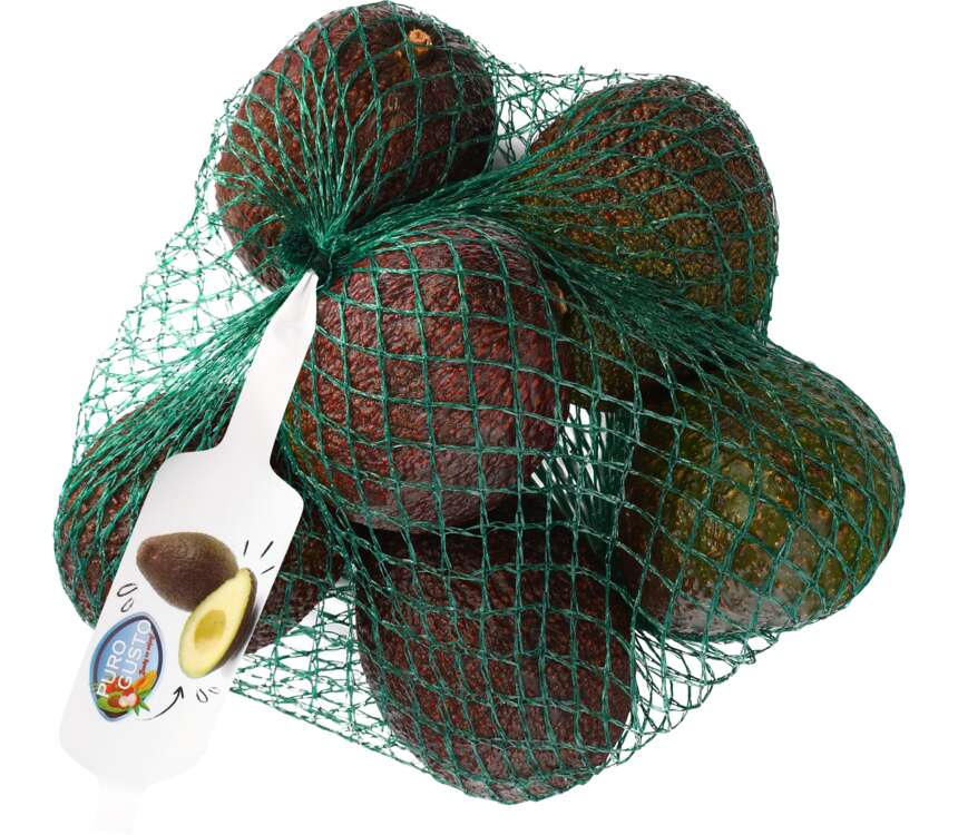 Avocado  odmiana:Hass 700 g