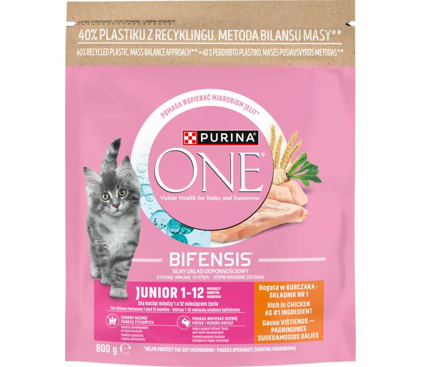 One Sucha karma dla kota junior 0,8 kg
