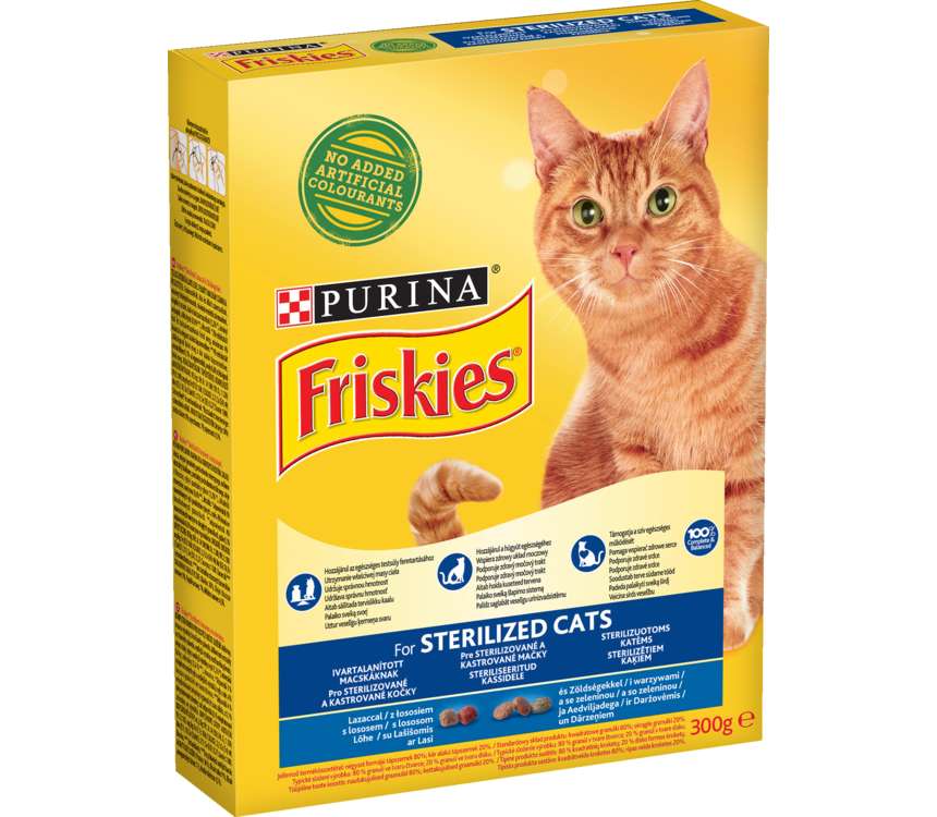 Friskies Karma dla kota sucha  0,3kg