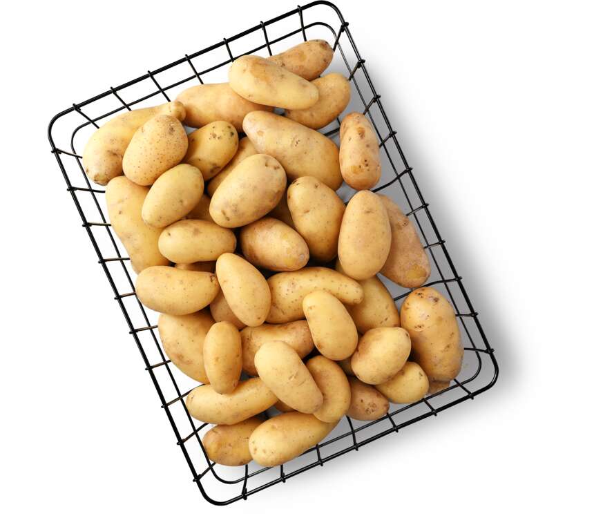 Ziemniaki sałatkowe   2,5 kg