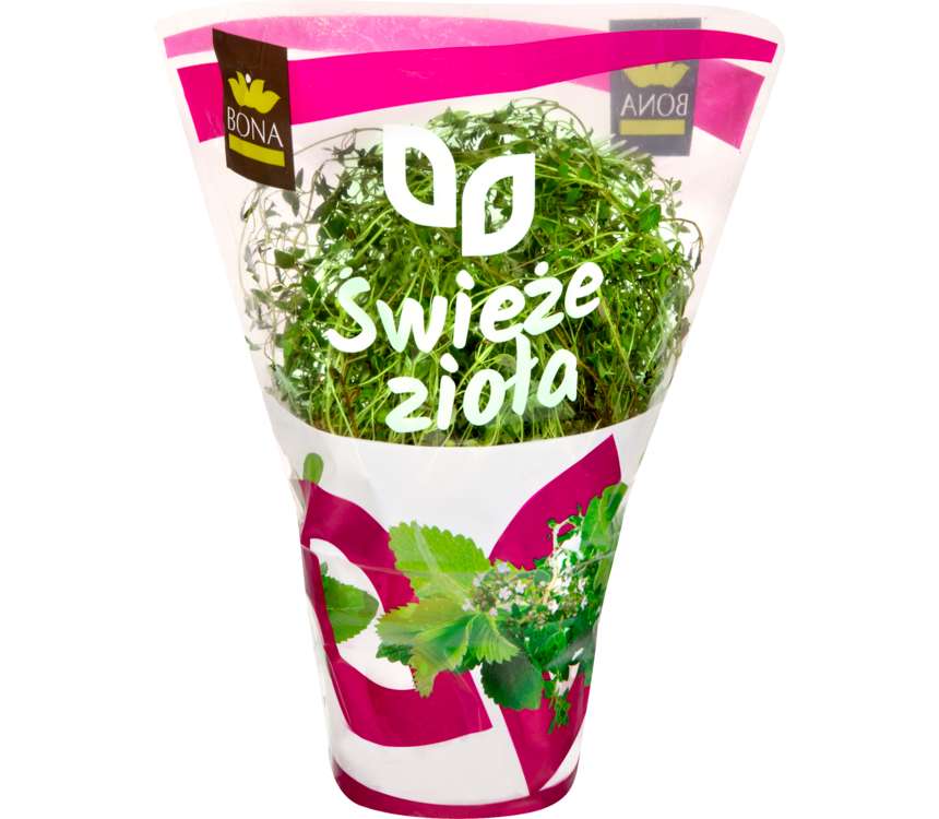 K-Stąd Takie Dobre Tymianek doniczka  1 szt.