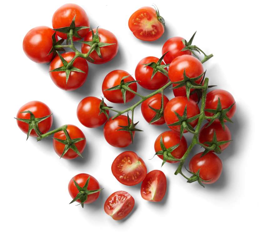 Pomidory koktajlowe gałązka  500 g