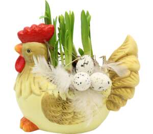 Rastliny v keramike kohútik priemer kvetináča: 13 cm Rastliny v keramike kohútik priemer kvetináča: 13 cm