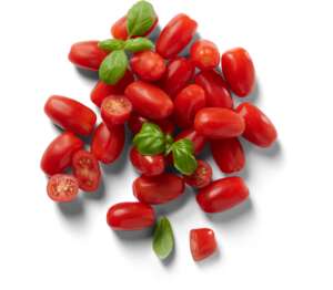Paradajky Miniroma Paradajky Miniroma