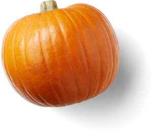 Čerstvé zo Slovenska Tekvica Halloween