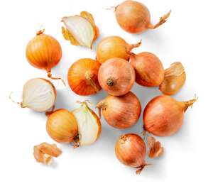 K-Bio Cibuľa žltá