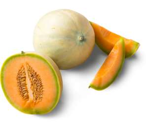 Melón Honeymoon 