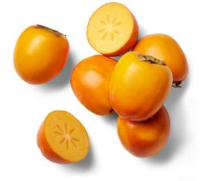 Kaki 