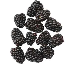 Černice 125 g balenie