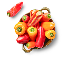 Span./niederl. Snackpaprika XXL  