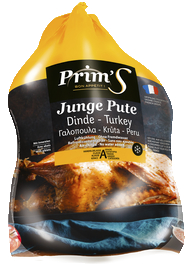 Junge Pute *Abbildungsbeispiel