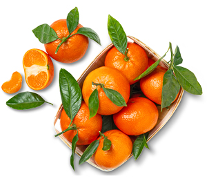 Span. Clementinen mit Blatt
