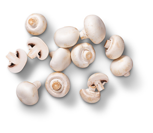 Poln./kroat. Kulturchampignons, weiß