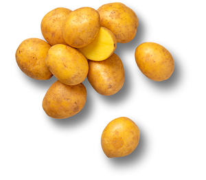 Franz. Gourmet-Kartoffeln