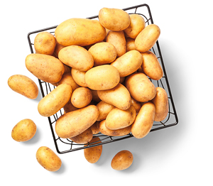 Dtsch./franz. kleine Speisekartoffeln