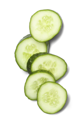 Span. Bio-Gurke