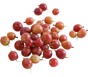 Dtsch. Stachelbeeren