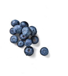 Peruan. Kulturheidelbeeren