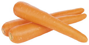 Dtsch. Möhren