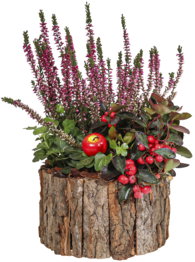 Bepflanztes Holzgefäß