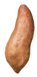Ägypt. Süßkartoffeln, lose Ägypt. Süßkartoffeln, lose