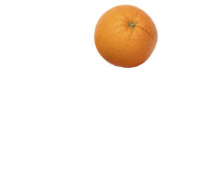 Span./südafrik. Orangen Span./südafrik. Orangen