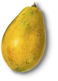 Ghana. Papaya, lose