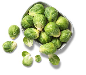 Niederl./belg. Rosenkohl Niederl./belg. Rosenkohl