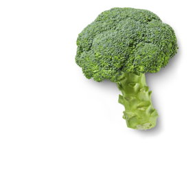 Span./ital. Broccoli Span./ital. Broccoli