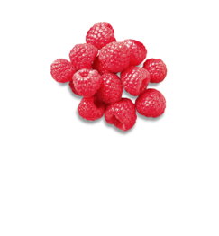 Port. Himbeeren